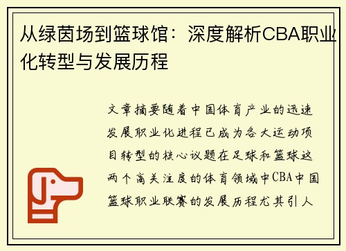从绿茵场到篮球馆：深度解析CBA职业化转型与发展历程